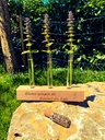 Blumen Reagenz
