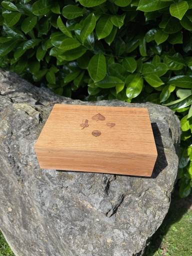 Schafkopf-Box